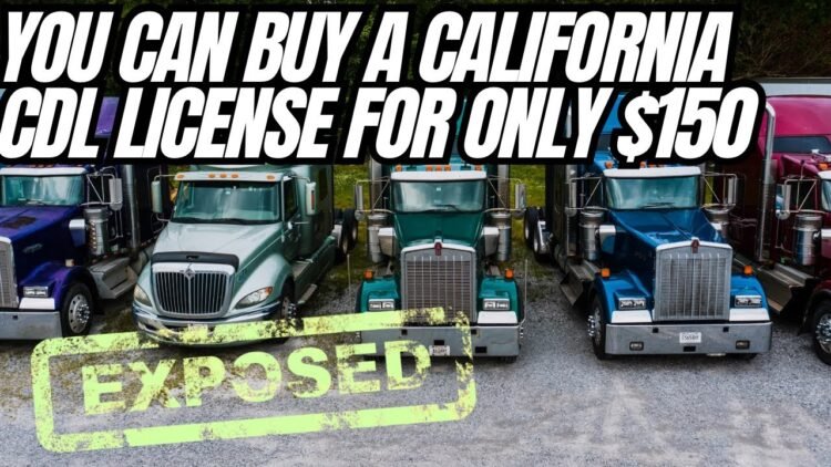 Illegal CDL Drivers In California Paid $150 For A license! This Is Crazy! CHP Told Stand Down